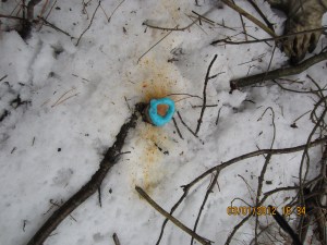 Foam herbicide applied to cut stump in winter