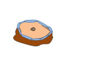 Illustration Showing Foam Herbicide Applied to Inner Bark of Stump