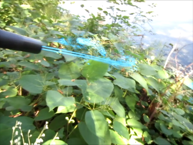 5558-LargeHandheldFoamStream