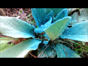 Spray pattern shows evenly spaced droplets