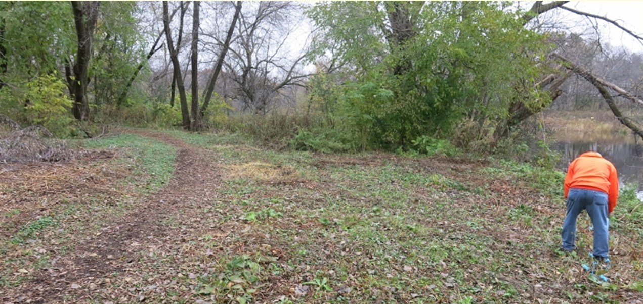 2019-05-09-DeadKnotweed