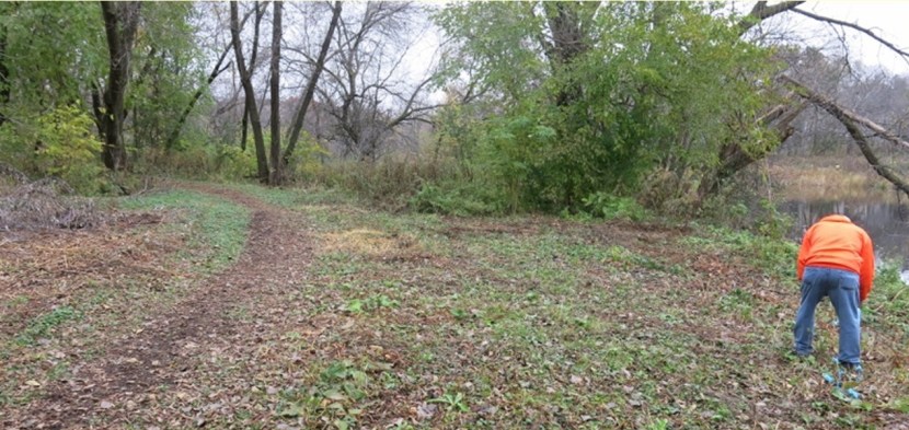 2019-05-09-DeadKnotweed