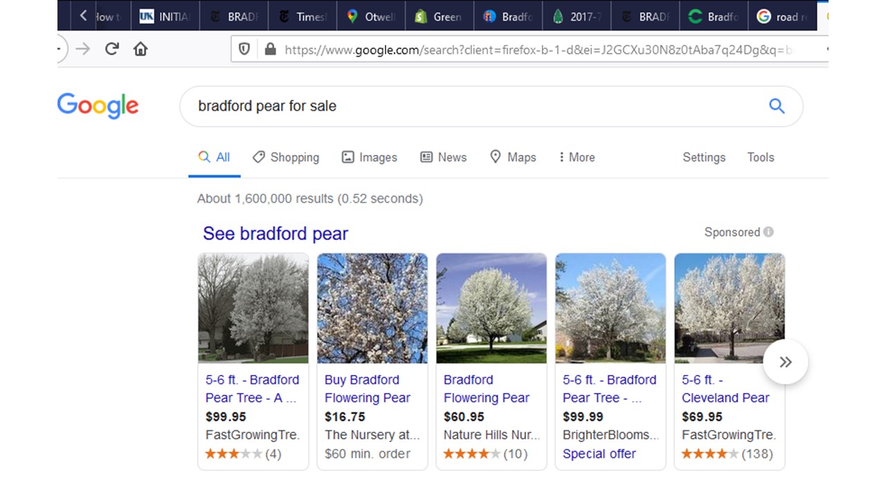 2020-03-30-GoogleSearchBradford