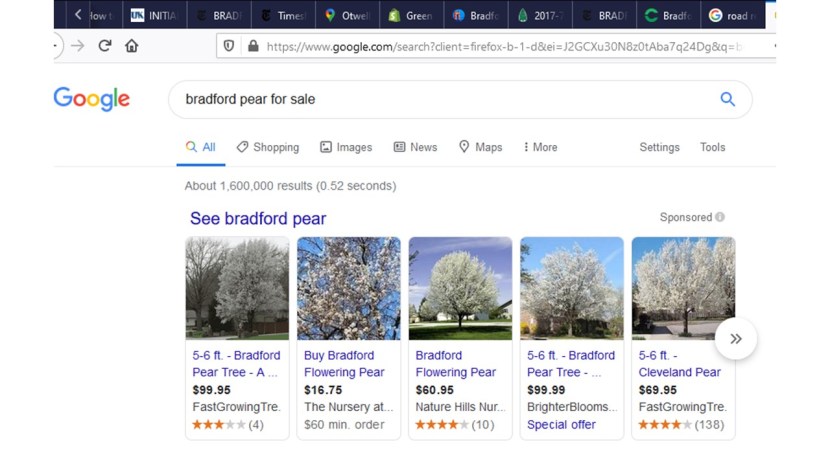 2020-03-30-GoogleSearchBradford